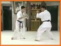 Kyokushin - Leg Techniques related image