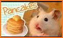 Cute & Tiny Food Trucks - Cooking with Baby Pets related image