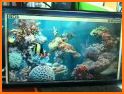 aniPet Aquarium Live Wallpaper related image