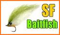 Baitfish Primer related image