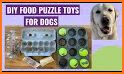 Dogs home: Crosswords puzzle related image