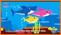 Baby Shark Songs related image