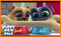The Puppy Race Dog Pals - Free pets Games related image