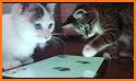 Cattywhompus related image