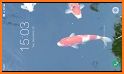 Koi Fish Live Wallpaper Themes related image