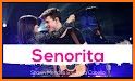 Shawn Mendes Camila Cabello-Senorita on PianoTiles related image