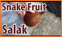 Fruit Snake related image