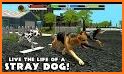 Pet Dog Games : Pet Your Dog Now In Dog Simulator! related image