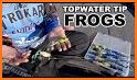 Tips for amazing city frog related image