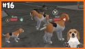 Dog Sim Online: Raise a Family related image