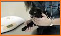 Little Cat Doctor : Baby Cat Hospital : Pet Vet 1 related image