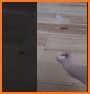 Try Flick Cup In related image