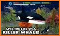 Orca Simulator related image
