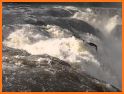 Mill Mile-Paterson Great Falls related image