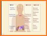 Clinical Endocrinology related image