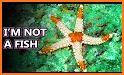 Starfish related image