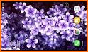 Flower Images Gif, Flowers Live Wallpapers 4K related image