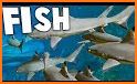 Fish Feed & Shark Grow - Update Tips related image