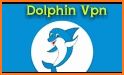 dolphin vpn related image