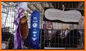 Lake County Fair related image