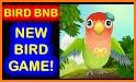 Bird BnB related image