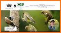 NestWatch by Cornell Lab related image