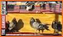 Pigeon POOlitics: 2020 Elections related image