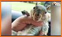 Grey Squirrel Rescue related image