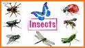 Spell & Play: Insect Friends related image
