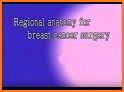Breast Anatomy Pro. related image