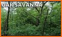 Savannah NWR Tour related image