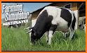 Cow Simulator related image