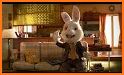 Video Bunny Plus related image