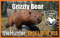 Wild Bear hunting FPS Game 2021 related image