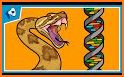 Evolution: mutation related image