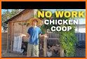 Chicken Coop Design related image