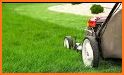 Cut Grass related image