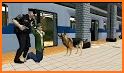 US Police Dog Subway Chase Simulator 3D related image