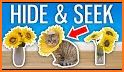 Hide and Seek: Cat Escape! related image