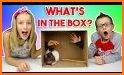 WhatsBox related image