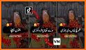 Urdu Poetry - Videos and Text related image