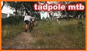 Tadpole rides related image