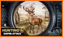 Wild Animal Deer Hunting Adventure Shooting Games related image