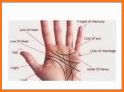 Palmistry Guide related image