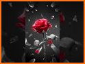 Flame Rose Live Wallpapers Themes related image