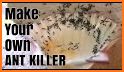 Ant Control related image