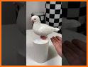 Shoping House related image