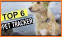 Dog Tracking related image