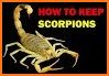 How to Take Care of a Pet Tarantula or Scorpion related image