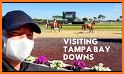 Tampa Bay Downs related image